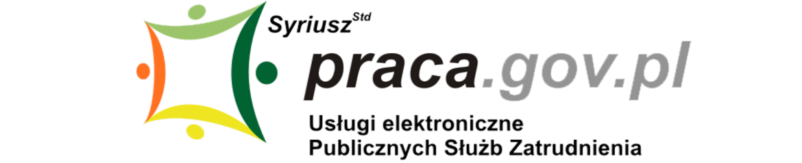 PSZ usługi elektroniczne